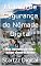 Livro Manual de Segurança do Nômade Digital: Dicas importantes para todo e qualquer nômade ter no bolso