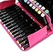 BTSKY® Handy 80 Slot Carrying Lipstick Organizer Marker Case Holder for Copic Prismacolor Touch Spectrum Noir Paint Sharpie Markers (Pink)