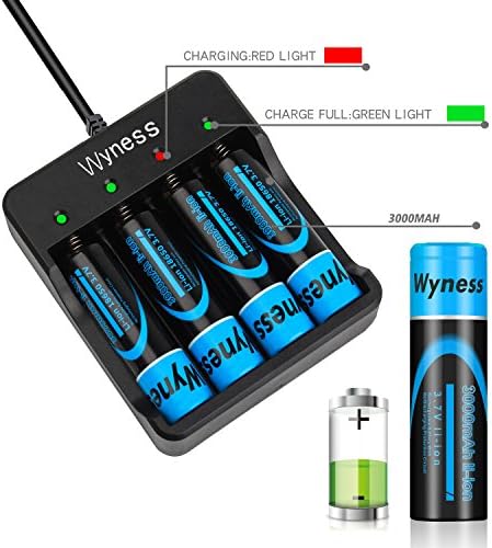 18650 3.7V 3000mAh Flat Top Lithium Rechargeable Batteries with Fast Li-ion Battery Charger, 4 PACK …
