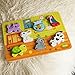 Fat Brain Toys Pet Chunky Puzzle - Pet Pals Chunky Puzzle Baby Toys & Gifts for Ages 1 to 2