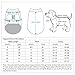 Blueberry Pet Ugly Christmas Santa Claus Holiday Season Shawl Collar Dog Sweater, Back Length 16