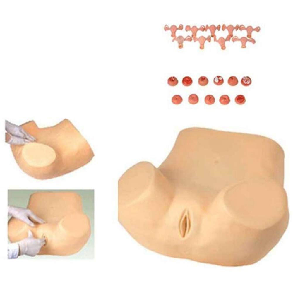 Medical Fertility Education and Study Gynecology Model Gynecological Examination Model Uterine Palpation Abdominal cavity, pelvic cavity Practice Traning