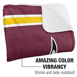 Colorado Mesa University Primary Logo Stripes