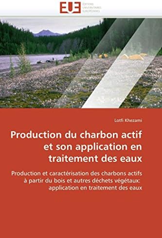 Production du charbon actif et son application en traitement des eaux (Omn.Univ.Europ.) (French Edition)