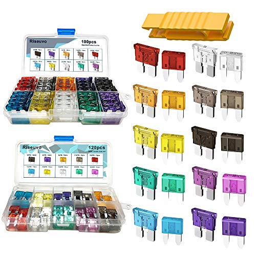 220pcs - Car Blade Fuses Assortment Kit, Automotive Fuses - Standard & Mini (2A/ 3A/ 5A/ 7.5A/ 10A/ 15A/ 20A/ 25A/ 30A/ 35A), Car Boat Truck SUV Automotive Replacement Fuses by Riseuvo