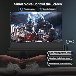 IN&VI Motorized ALR Floor Rising Projector Screen