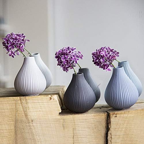 Funnowcol 10 inch Home Decorative Bottle Vase