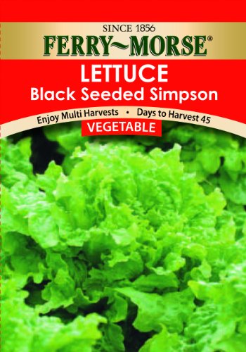 Ferry morse black seeded simpson lettuce seeds