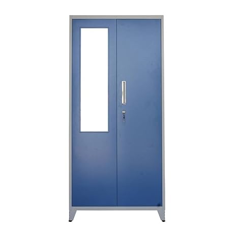 Woodness Ryan 2 Door Metal Almirah With Mirror Matte Finish Blue And White