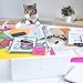 Fred & Friends Kitty KADDY Cat Clips and Dispenser, Set of 20