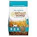 sWheat Scoop Fast-Clumping All-Natural Cat Litter, 7lb Bag