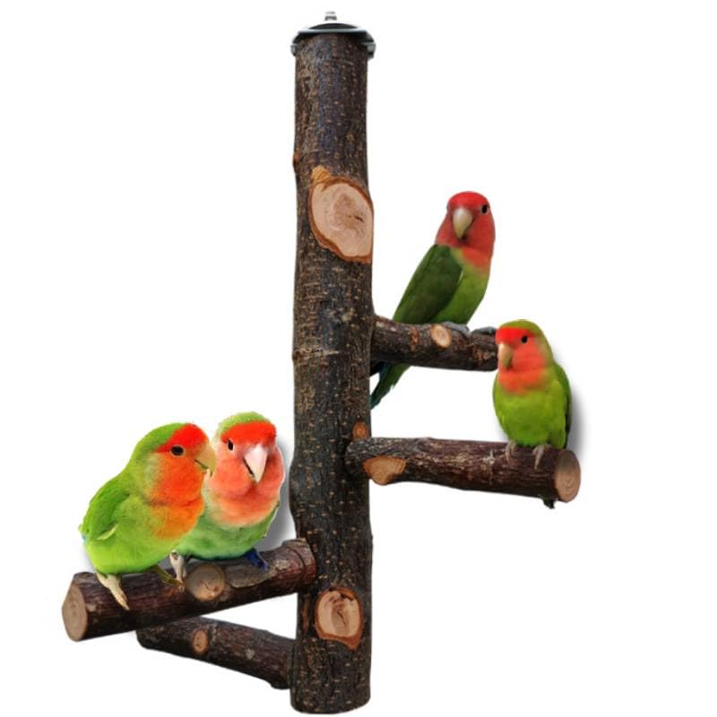 QeeHeng Bird Stand Perch, Natural Wood Parrot Perch for Parrots, Small Parakeets, Cockatiels, Macaws, Love Birds, Finches