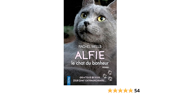 Amazon Com Alfie Le Chat Du Bonheur City Editions French Edition Ebook Wells Rachel Kindle Store