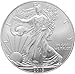 2013-1 Ounce American Silver Eagle Low Flat Rate Shipping .999 Fine Silver Dollar Uncirculated US Mint