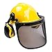 RK Safety Industrial Forestry Chainsaw Safety Helmet Combo Set | Hard Halmet Hat, Hearing Protection Ear Muffs, Mesh Face Shield Visor, Hold Breacket | ANSI and EN Certified (SHC101, Yellow)