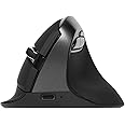 DeLUX Wireless Vertical Mouse, Small Silent Ergonomic Mouse with BT 5.2 and USB Receiver, 6 Buttons and 4000 DPI, Rechargeable Mouse for Carpal Tunnel (M618mini-Iron Gray)