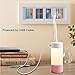 Sbode Cool Mist Humidifiers, 250mL Office Desk Whisper Quiet Humidifier USB Powered, Night Light Mode, for Baby Room, Travel, Car, Bedroom (Pink)