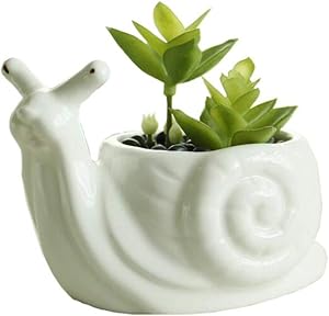 Youfui Cute Succulent Planter Animal Shaped Flower Pot Decor for Home Office Desk (Snail)