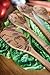 Talisman Designs Beechwood Salad Serving Set, Pop Art Design , Laser Etched Fork and Spoon, 12-inches Long