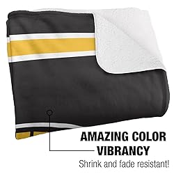 LOGOVISION DePauw University Blanket, 60x80 Primary