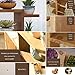 Exttlliy Wooden DIY Mini Tabletop Plant Stand Multi-Layer Concise Desktop Planter Holder for Home Office Decorative (Carbonized Color)thumb 2