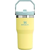 Stanley IceFlow Flip Straw Tumbler with Handle 20 oz | Twist On Lid and Flip Up Straw | Leak Resistant Water Bottle | Insulated Stainless Steel |BPA-Free | Pomelo