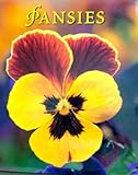 Pansies by