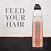 Sulfate Free Shampoo, Dye Free Nourishing Treatment, Coconut, Hair Food, 4.9 OZ