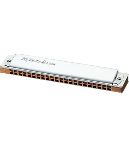 Amazon.com: Tombo Mundharmonika Harmonika (No.3124C) : Musical