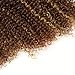 Style Icon Synthetic Kinky Curly Blonde Hair 16-20 inch 7Pieces/lot High Temperature Fiber Afro Kinky Curly Hair 6 Pieces With Closure Lace For Black Women (16