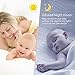 Video Baby Monitor with Night Vision Camera,Two Way Audio System,Temperature Sensor and Large Transmission Range