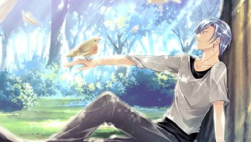 Amazon Com Real Rode Portable Dx Pack Japan Import Video Games