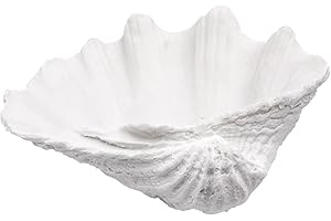 ALIWINER Medium White Scalloped Clam Shell Bowl Sea Shell Decor for Nautical Beach House,Coastal Decor Gift of Housewarming and Wedding Party