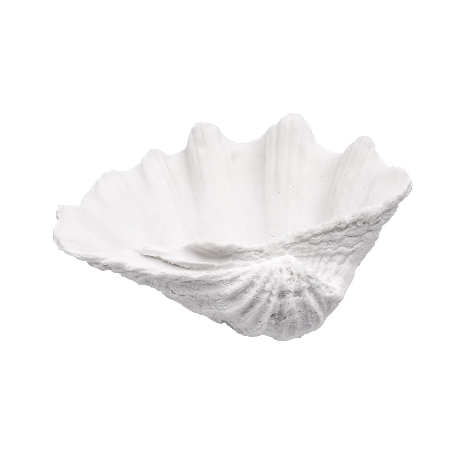 Photo 1 of ALIWINER Medium White Scalloped Clam Shell Bowl Sea Shell Decor for Nautical Beach House,Coastal Decor Gift of Housewarming and Wedding Party