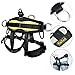 YaeCCC Climbing Harness Safe Belt for Fire Rescue High Altitude School Assignment Caving Rock Climbing Rappelling Equipment Body Guard Protect (Half Body-Model 2)