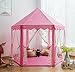 Pericross Snowflake Veil Hexagon Princess Play Tent with Metal Frame and 10M 100 Diodes LED Brass Wire Lights and Flash Control (Pink)