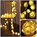 Homeleo 30 Led Rose String Lights, Rose Flower Lamp Fairy Lights with Remote for Christmas Wedding Room Anniversary Valentine's Day Decoration (Warm White)