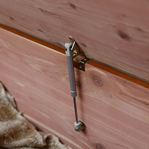 Surveyor Cedar Chest - Oak