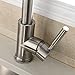 Modern Stainless Steel Single Handle Single Hole Pull Out Spray Kitchen Faucet, Brushed Nickel Pull Down Kitchen Sink Faucets