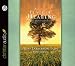A Place of Healing: Wrestling with the Mysteries of Suffering, Pain, and God's Sovereignty - Book by Joni Eareckson Tada