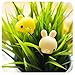 12PCS Mini Squishy Squeeze Stretchy Animal Seals Healing Toys - Soft Kawaii Cute - for Kids Adults Reduce Stress Pressure Press