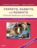 Ferrets, Rabbits, and Rodents: Clinical Medicine and Surgery by 
