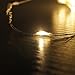 ANTSIR Outdoor Solar Powered Copper Wire String Lights,200 LEDs 66ft 8 Modes,Waterproof for Landscape,Garden,Trees,Weddings,Parties