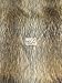 Faux Fake Fur Animal Long Pile Fabric - Wolf - 60
