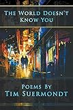 The World Doesn't Know You by Tim Suermondt