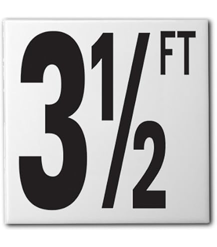 Custom Ceramic 3FT Pool Depth Marker Tile - 5.8x5.8 Inch Non-Slip Abrasive Finish, Swimming Pool Safety Sign For Concrete Deck & Inground Pools, Made In USA