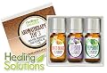 Aromatherapy Top 3 Gift Set (Organic) 100% Pure Therapeutic Grade Essential Oil Gift Set - 3/10 mL (Sweet Orange, French Lavender, Peppermint Pharma Grade)