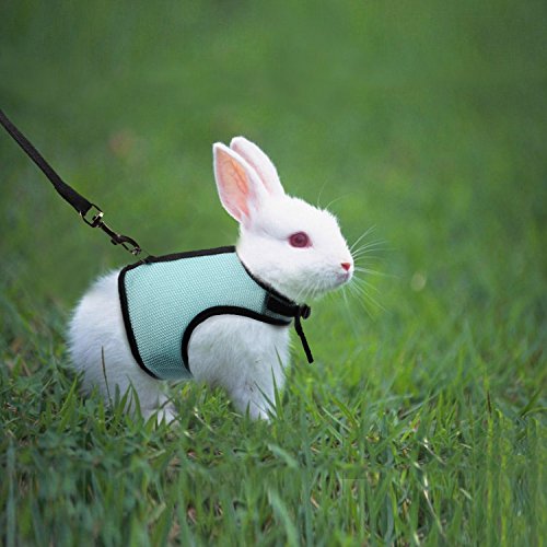 3 MEWTOGO+Adjustable+Breathable+Bunny+Harness