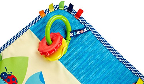 Fisher-Price On-The-Go Activity Throw