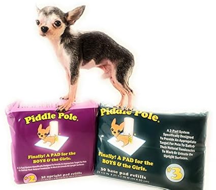 male dog pee post indoor